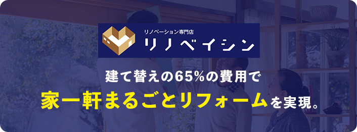リノベイシン